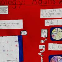 poster: 1st place, grade K-3 category